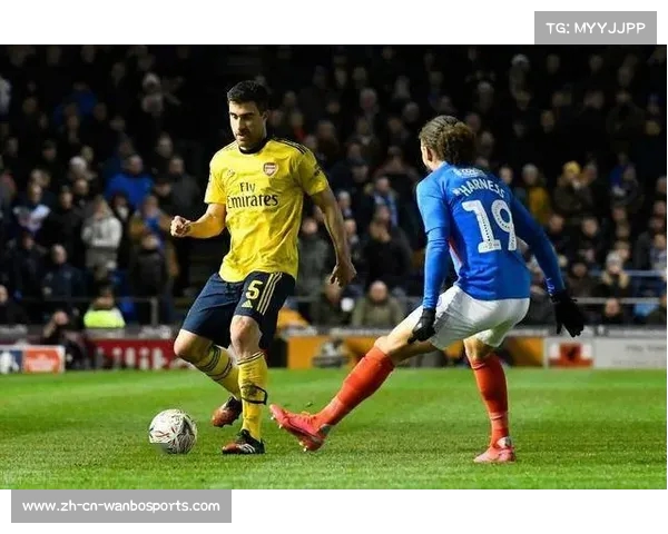 史密斯罗冬窗欲加盟纽卡斯尔替代托纳利寻求更多出场机会 史密斯罗冬窗欲加盟纽卡斯尔替代托纳利寻求更多出场机会